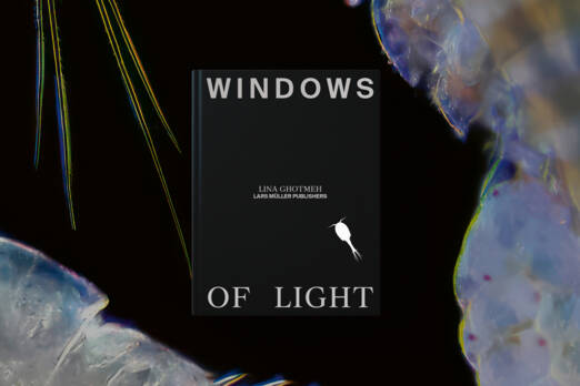 Publication. Livre Lars Müller Publishers. Lina Ghotmeh — Architecture ZG_Windows-of-Light