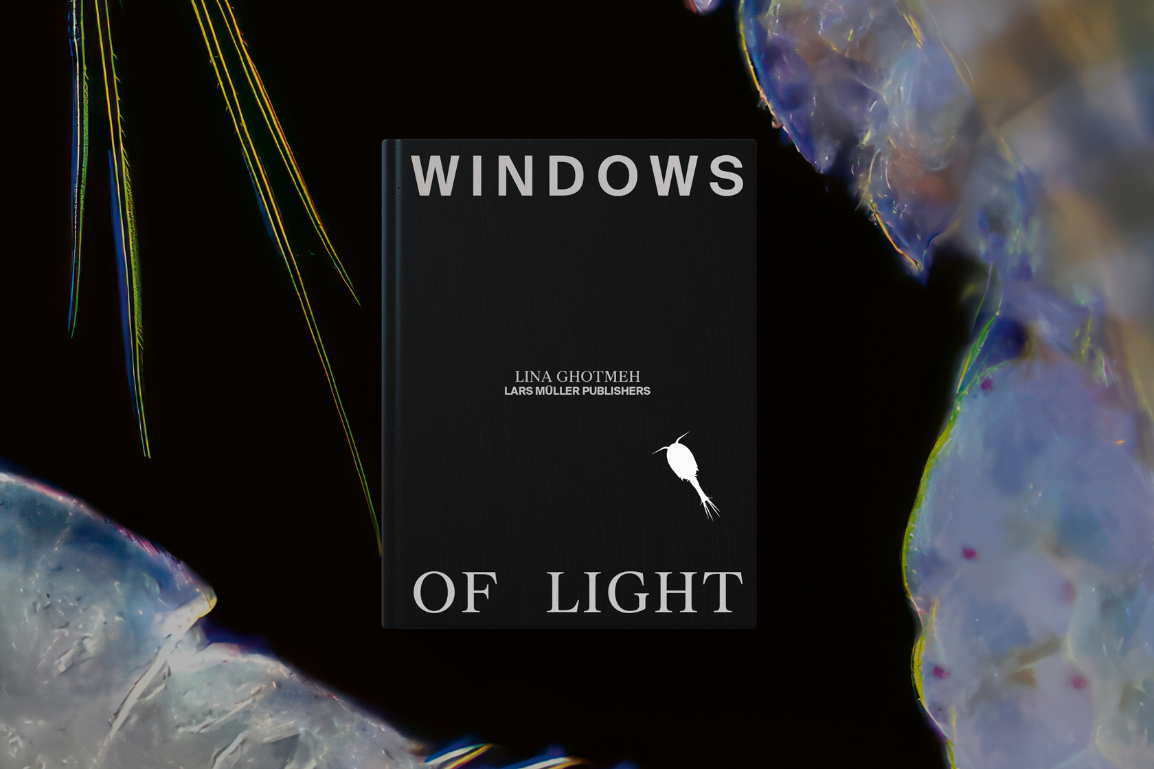 Publication. Lars Müller Publishers Book. Lina Ghotmeh — Architecture ZG_Windows-of-Light